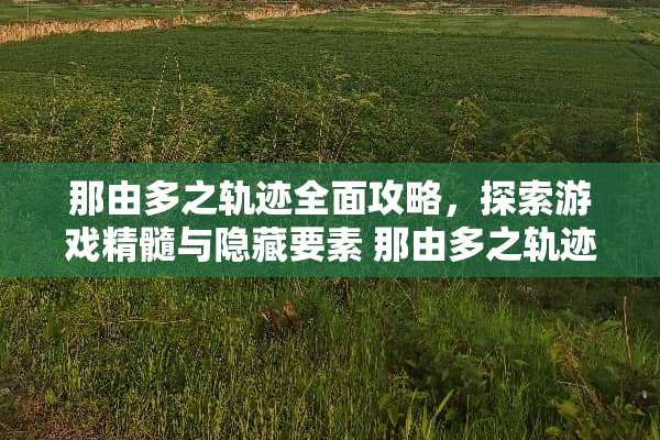 那由多之轨迹全面攻略，探索游戏精髓与隐藏要素 那由多之轨迹攻略