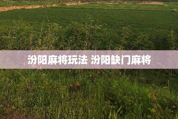 汾阳**玩法 汾阳缺门**