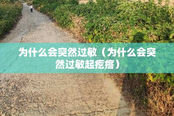 为什么会突然过敏（为什么会突然过敏起疙瘩）