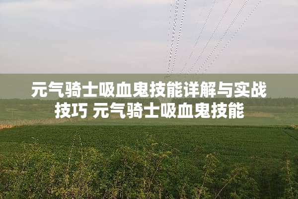 元气骑士吸血鬼技能详解与实战技巧 元气骑士吸血鬼技能