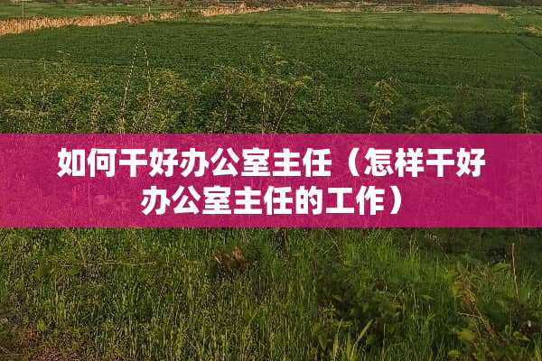 如何干好办公室主任（怎样干好办公室主任的工作）