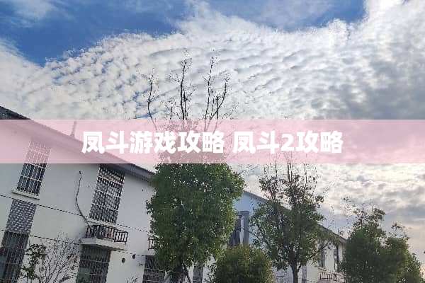 凤斗游戏攻略 凤斗2攻略