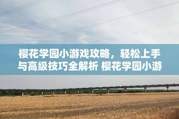 樱花学园小游戏攻略，轻松上手与高级技巧全解析 樱花学园小游戏技巧攻略