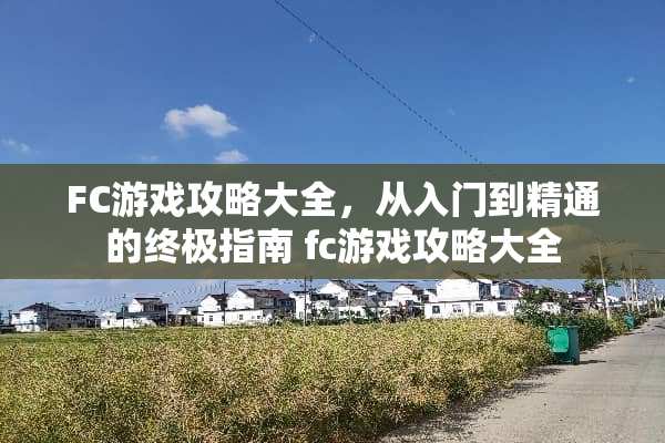 FC游戏攻略大全，从入门到精通的终极指南 fc游戏攻略大全