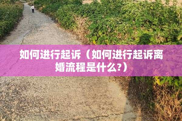 如何进行起诉(如何进行起诉**流程是什么?) 如何进行起诉(如何进行起诉**流程是什么?)