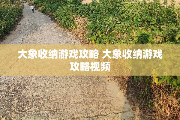 大象收纳游戏攻略 大象收纳游戏攻略视频