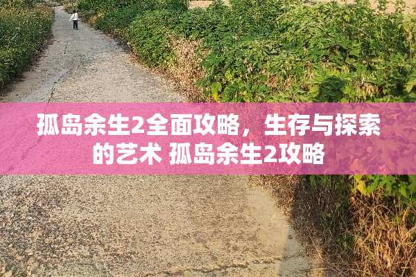 孤岛余生2全面攻略，生存与探索的艺术 孤岛余生2攻略