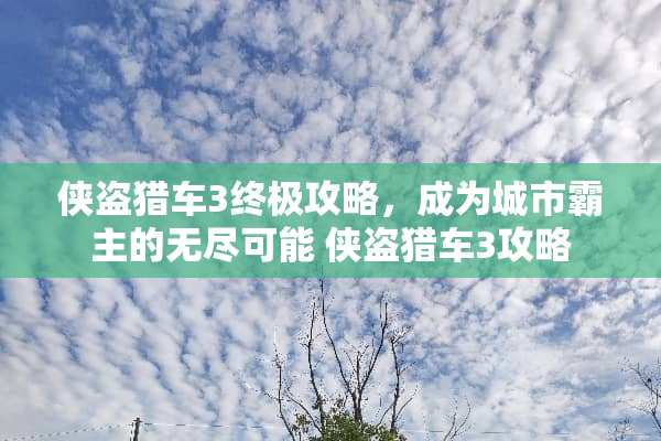 侠盗猎车3终极攻略，成为城市霸主的无尽可能 侠盗猎车3攻略