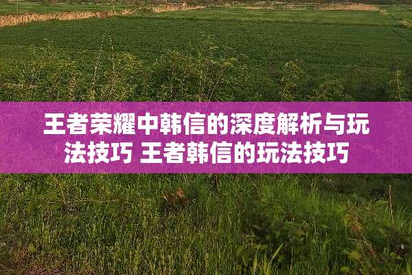 王者荣耀中韩信的深度解析与玩法技巧 王者韩信的玩法技巧