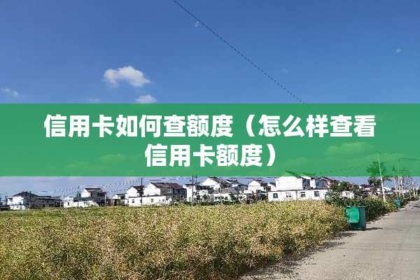 ***如何查额度（怎么样查看***额度）