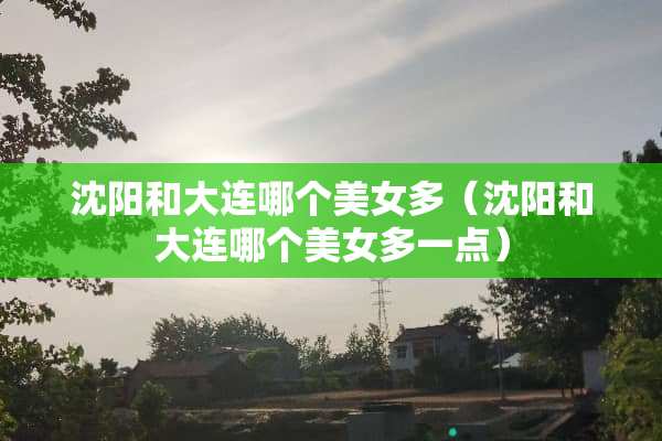 沈阳和大连哪个**多（沈阳和大连哪个**多一点）