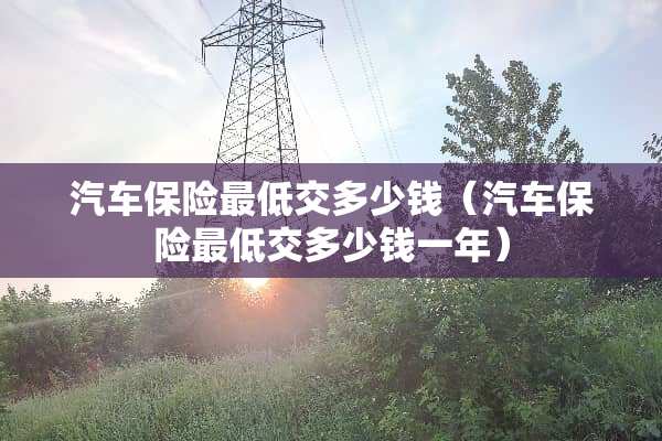 汽车保险最低交多少钱（汽车保险最低交多少钱一年）