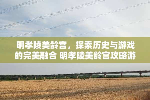 明孝陵美龄宫，探索历史与游戏的完美融合 明孝陵美龄宫攻略游戏