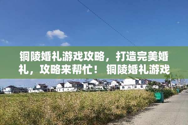 铜陵婚礼游戏攻略，打造完美婚礼，攻略来帮忙！ 铜陵婚礼游戏攻略