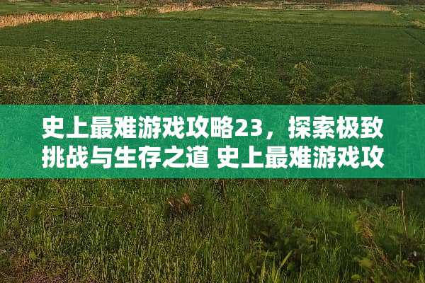 史上最难游戏攻略23，探索极致挑战与生存之道 史上最难游戏攻略23