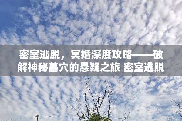 密室逃脱，冥婚深度攻略——**神秘墓*的悬疑之旅 密室逃脱冥婚攻略