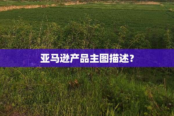 亚马逊产品主图描述？