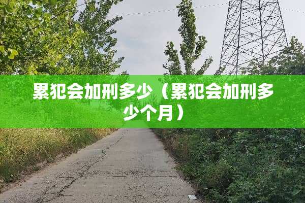 累犯会加刑多少（累犯会加刑多少个月）