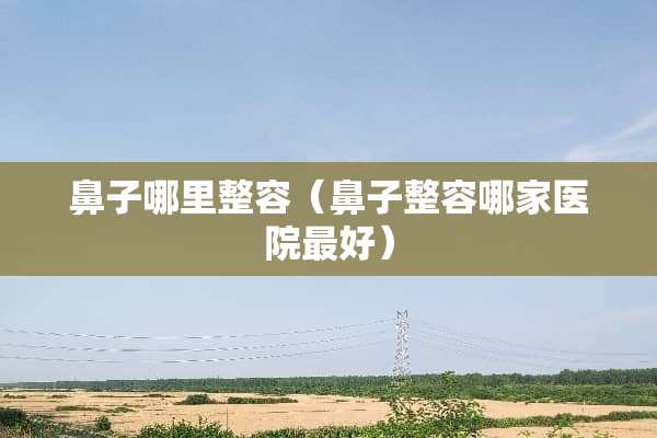 鼻子哪里整容（鼻子整容哪家医院最好）