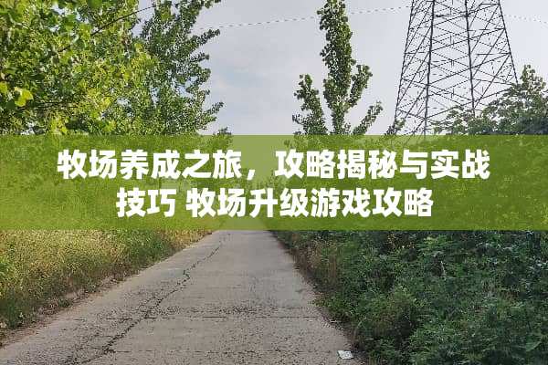 牧场养成之旅，攻略揭秘与实战技巧 牧场升级游戏攻略