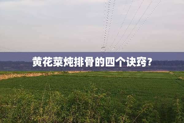 黄花菜炖排骨的四个诀窍？