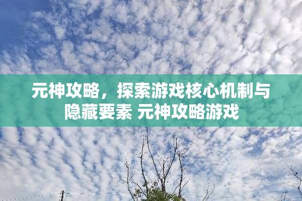 元神攻略，探索游戏核心机制与隐藏要素 元神攻略游戏