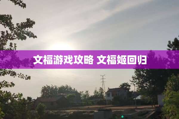 文福游戏攻略 文福姬回归 文福游戏攻略 文福姬回归