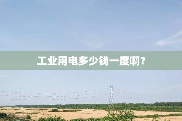 工业用电多少钱一度啊？