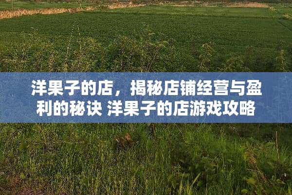 洋果子的店,揭秘店铺经营与盈利的秘诀 洋果子的店游戏攻略 洋果子的店,揭秘店铺经营与盈利的秘诀 洋果子的店游戏攻略