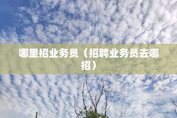 哪里招业务员（招聘业务员去哪招）