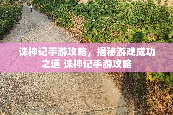 诛神记手游攻略，揭秘游戏成功之道 诛神记手游攻略