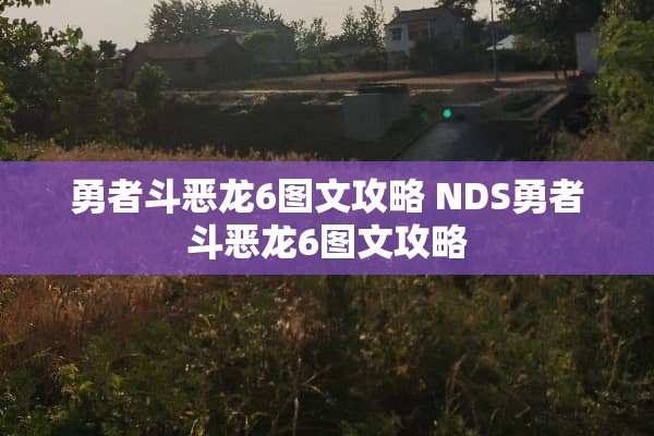 勇者斗恶龙6图文攻略 NDS勇者斗恶龙6图文攻略