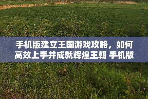 手机版建立王国游戏攻略，如何高效上手并成就辉煌王朝 手机版建立王国游戏攻略
