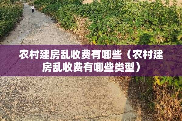 农村建房乱收费有哪些（农村建房乱收费有哪些类型）