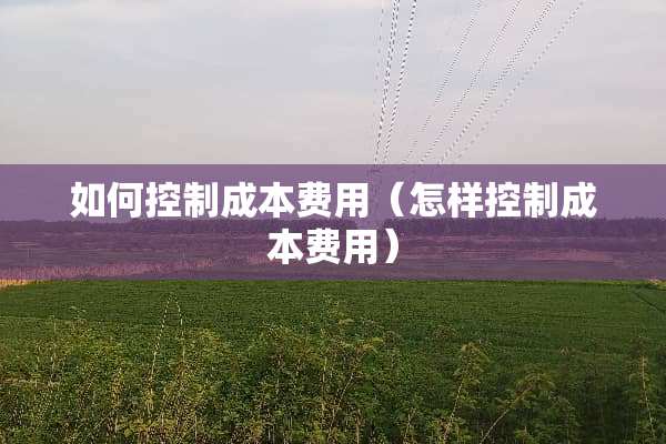 如何控制成本费用（怎样控制成本费用）