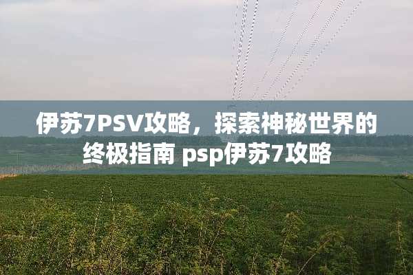伊苏7PSV攻略，探索神秘世界的终极指南 psp伊苏7攻略