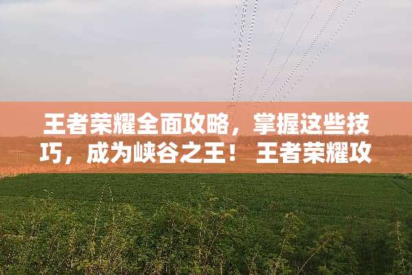 王者荣耀全面攻略，掌握这些技巧，成为峡谷之王！ 王者荣耀攻略网站