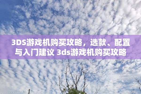 3DS游戏机购买攻略，选款、配置与入门建议 3ds游戏机购买攻略