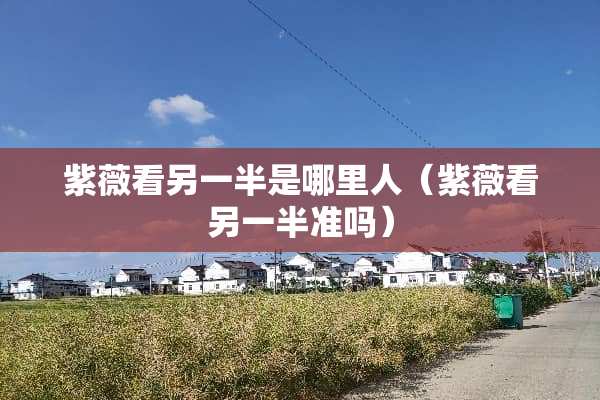 紫薇看另一半是哪里人（紫薇看另一半准吗）