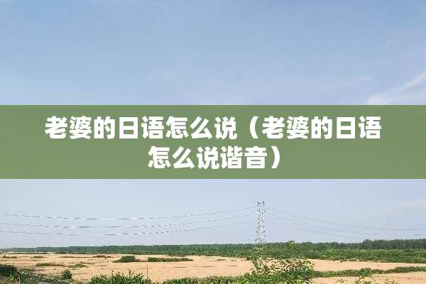 老婆的日语怎么说（老婆的日语怎么说谐音）
