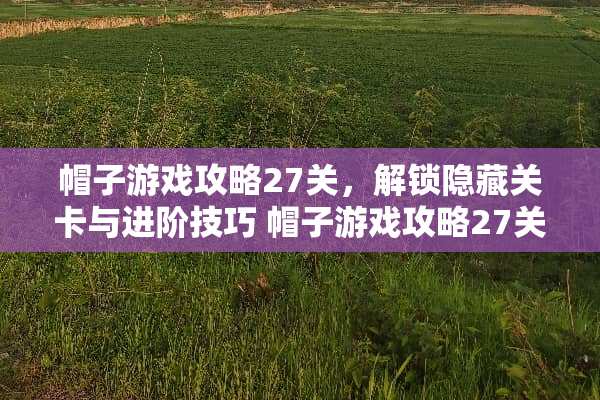 帽子游戏攻略27关，解锁隐藏关卡与进阶技巧 帽子游戏攻略27关