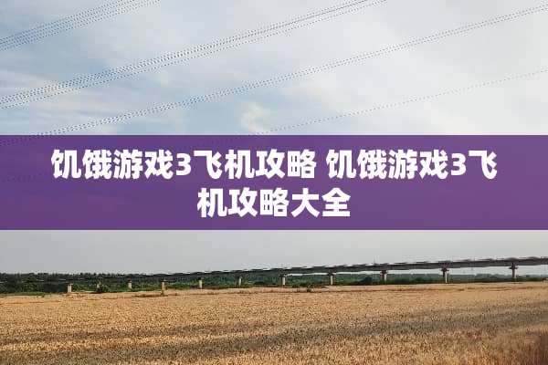 饥饿游戏3飞机攻略 饥饿游戏3飞机攻略大全