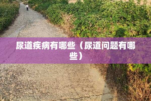 尿道疾病有哪些（尿道问题有哪些）