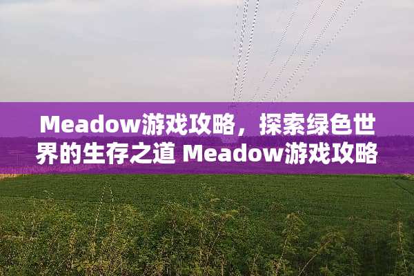 Meadow游戏攻略，探索绿色世界的生存之道 Meadow游戏攻略