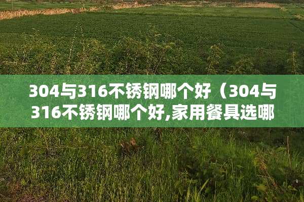 304与316不锈钢哪个好（304与316不锈钢哪个好,家用餐具选哪种更安全耐用?）