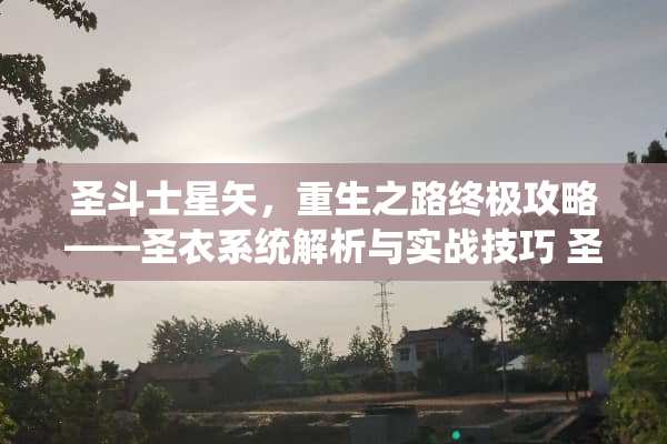 圣斗士星矢，重生之路终极攻略——圣衣系统解析与实战技巧 圣斗士星矢重生攻略