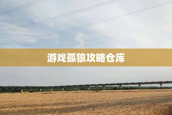 游戏孤狼攻略仓库