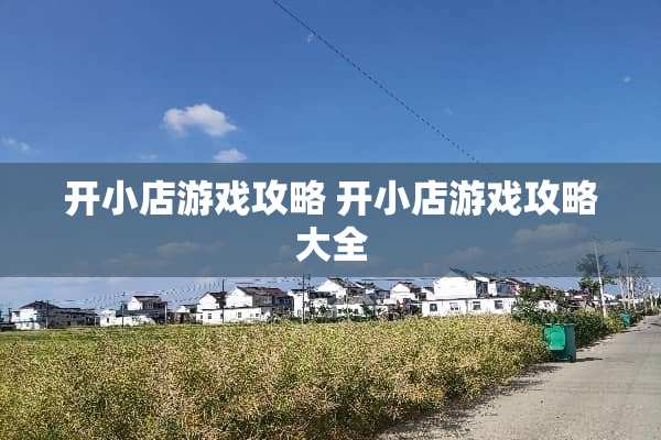 开小店游戏攻略 开小店游戏攻略大全