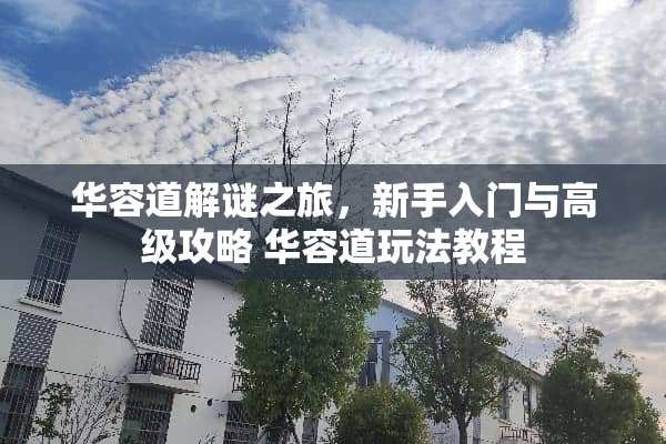 华容道解谜之旅，新手入门与高级攻略 华容道玩法教程