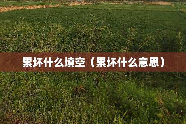 累坏什么填空（累坏什么意思）